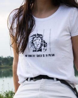 lion-en-cage