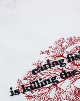 eating fish is killing the oceans